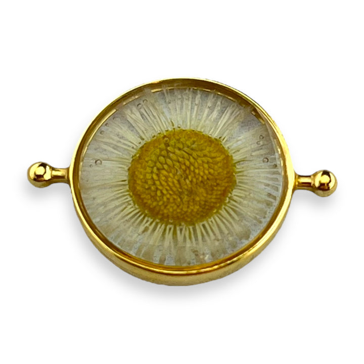 Fleabane Daisy – FoundKept Collab