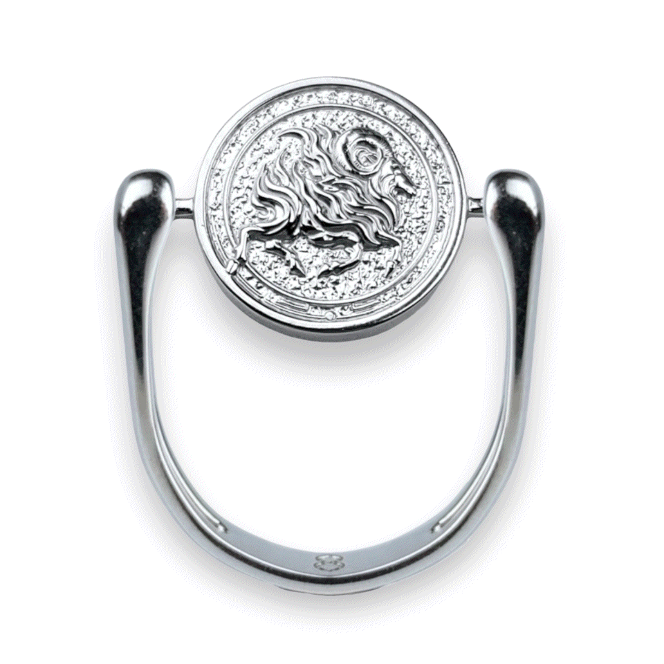 Luxe Silver Zodiac Fidget Ring