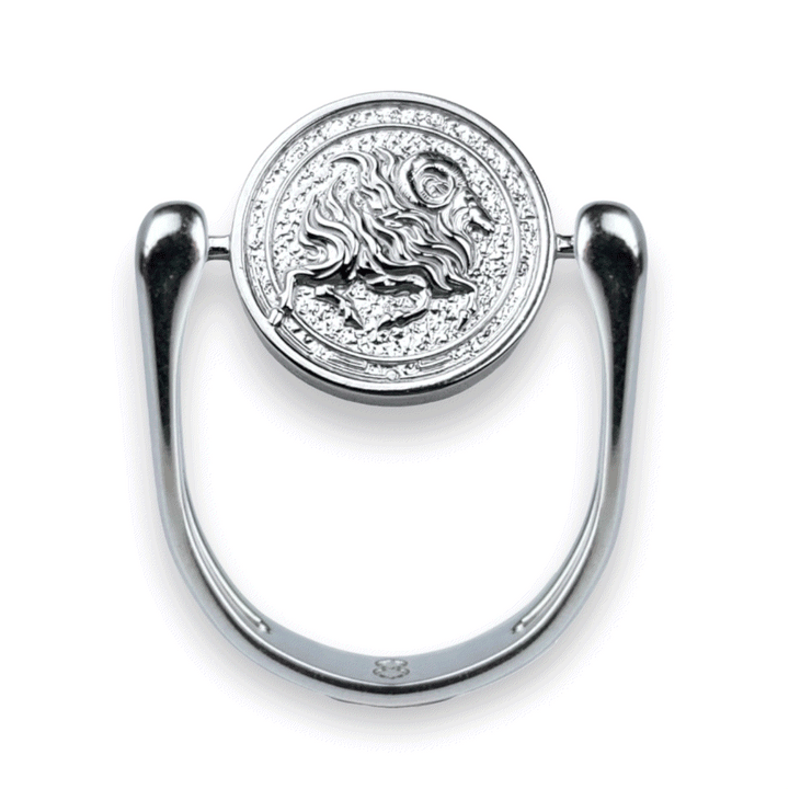 Luxe Silver Zodiac Fidget Ring