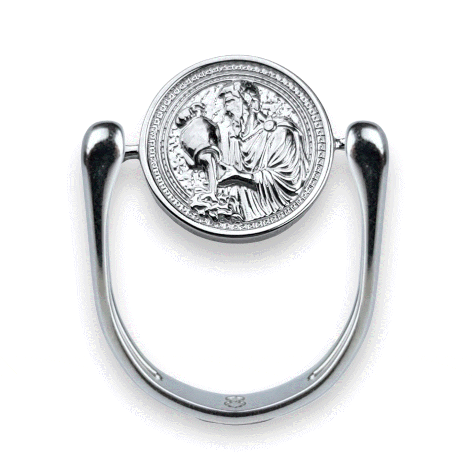 Luxe Silver Zodiac Fidget Ring