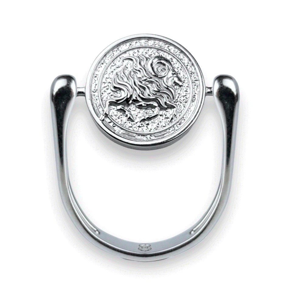Luxe Silver Zodiac Fidget Ring