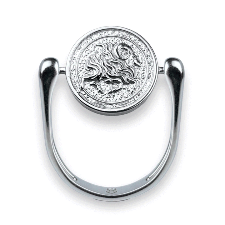 Luxe Silver Zodiac Fidget Ring