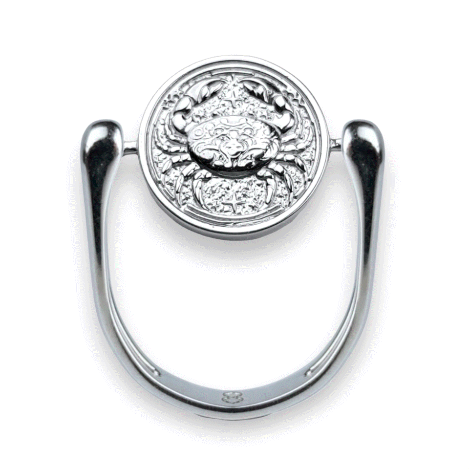 Luxe Silver Zodiac Fidget Ring
