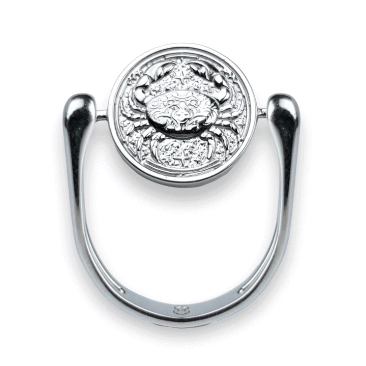 Luxe Silver Zodiac Fidget Ring