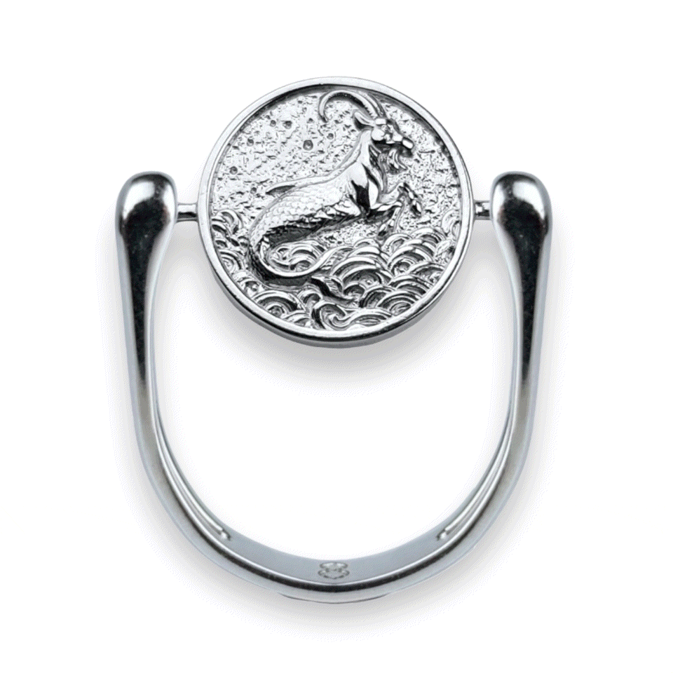 Luxe Silver Zodiac Fidget Ring