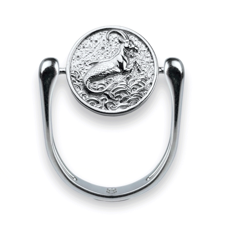 Luxe Silver Zodiac Fidget Ring