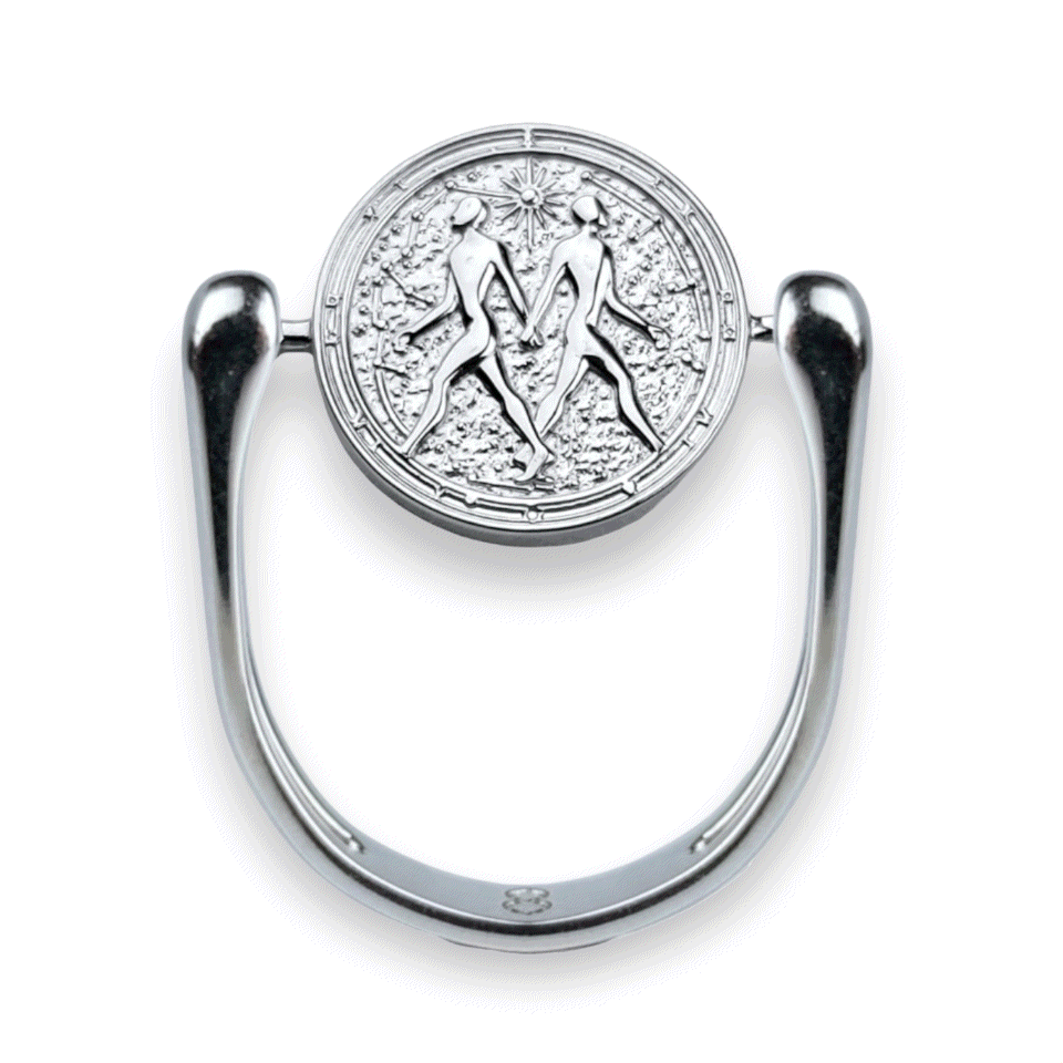 Luxe Silver Zodiac Fidget Ring