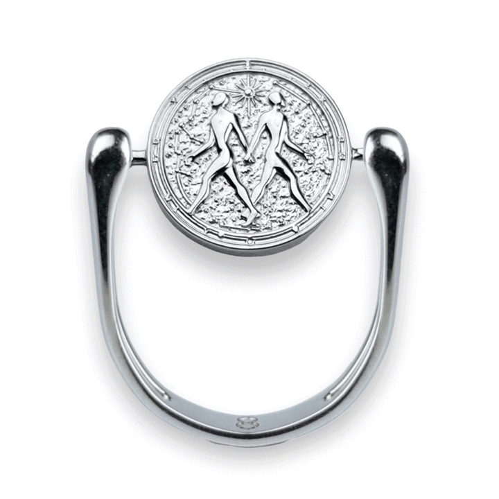 Luxe Silver Zodiac Fidget Ring