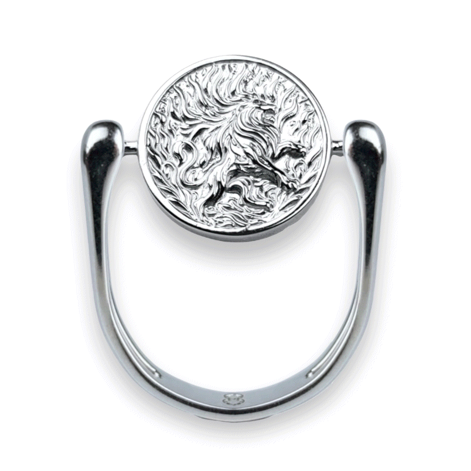 Luxe Silver Zodiac Fidget Ring