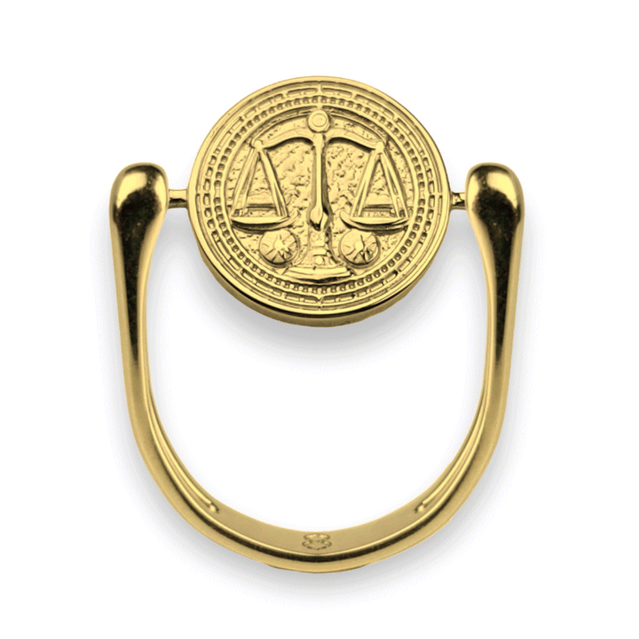Luxe Gold Zodiac Fidget Ring