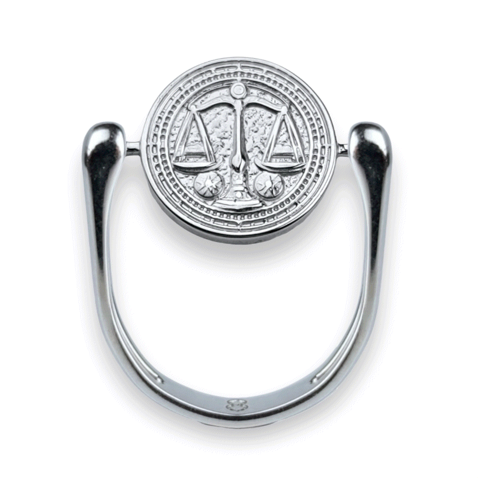 Luxe Silver Zodiac Fidget Ring