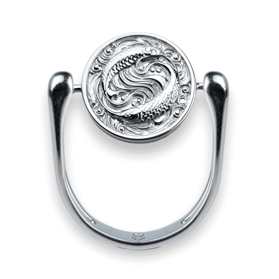 Luxe Silver Zodiac Fidget Ring