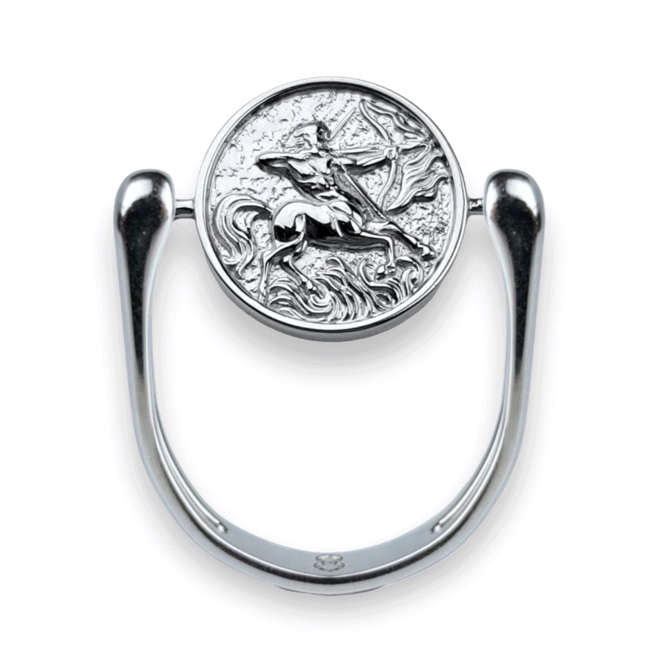 Luxe Silver Zodiac Fidget Ring