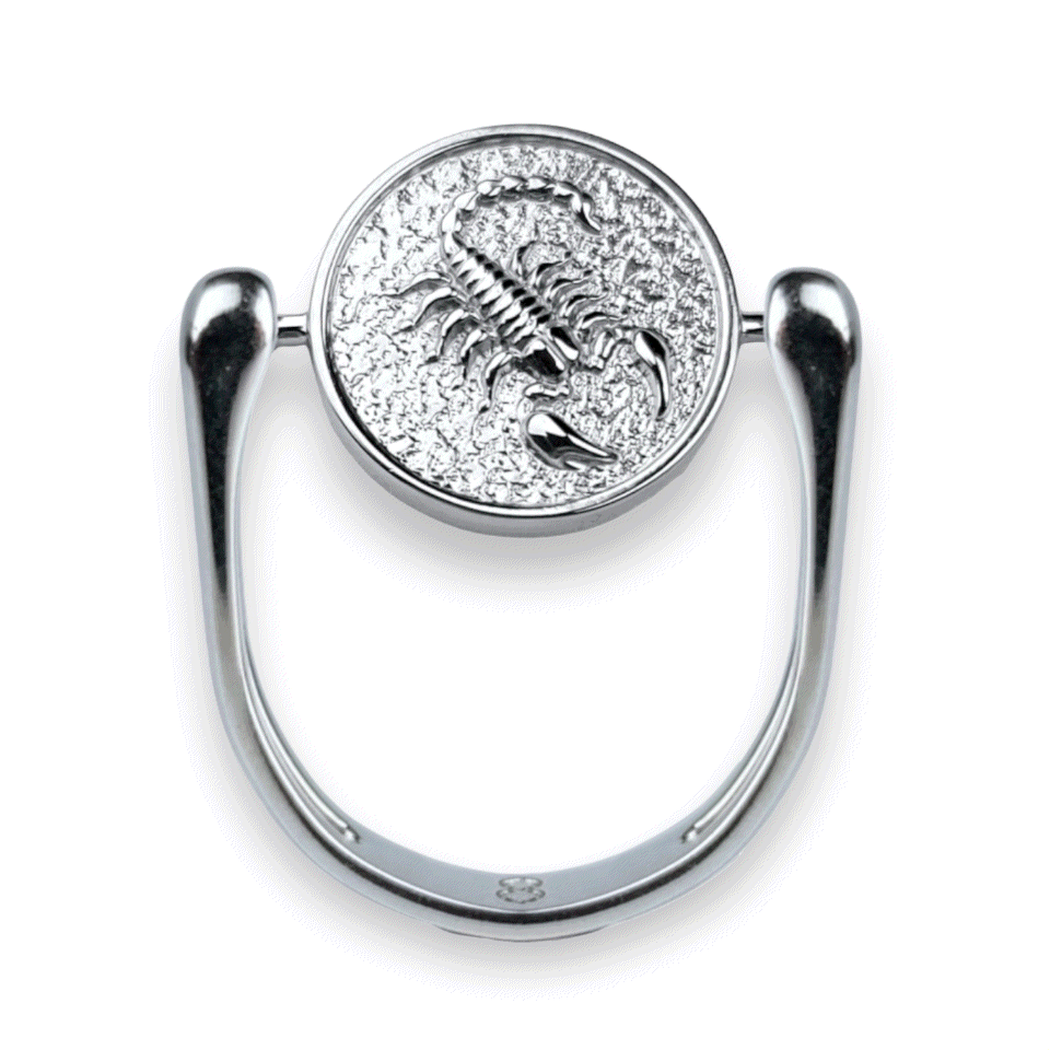 Luxe Silver Zodiac Fidget Ring