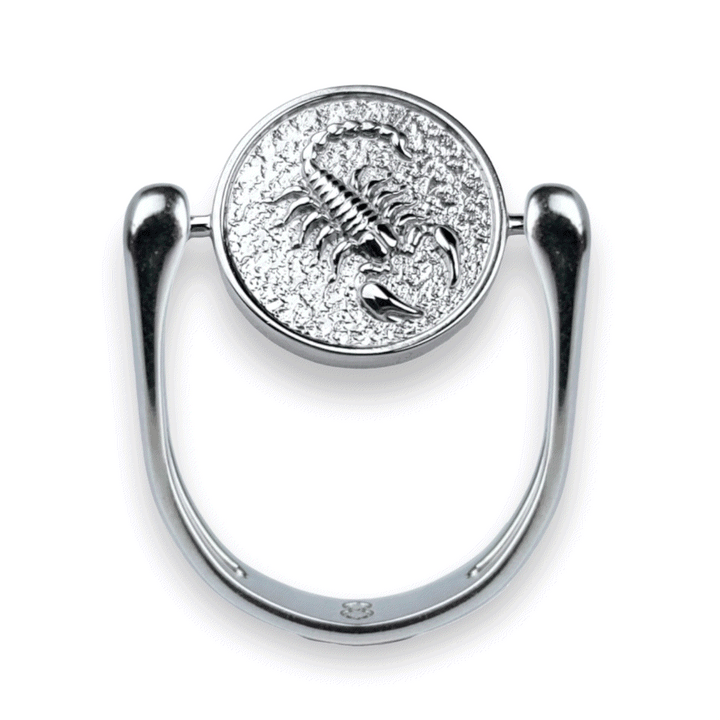 Luxe Silver Zodiac Fidget Ring