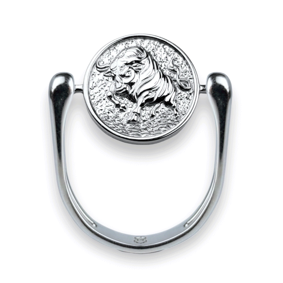 Luxe Silver Zodiac Fidget Ring