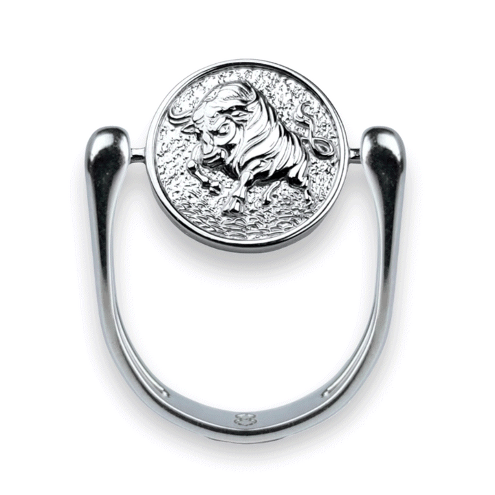 Luxe Silver Zodiac Fidget Ring