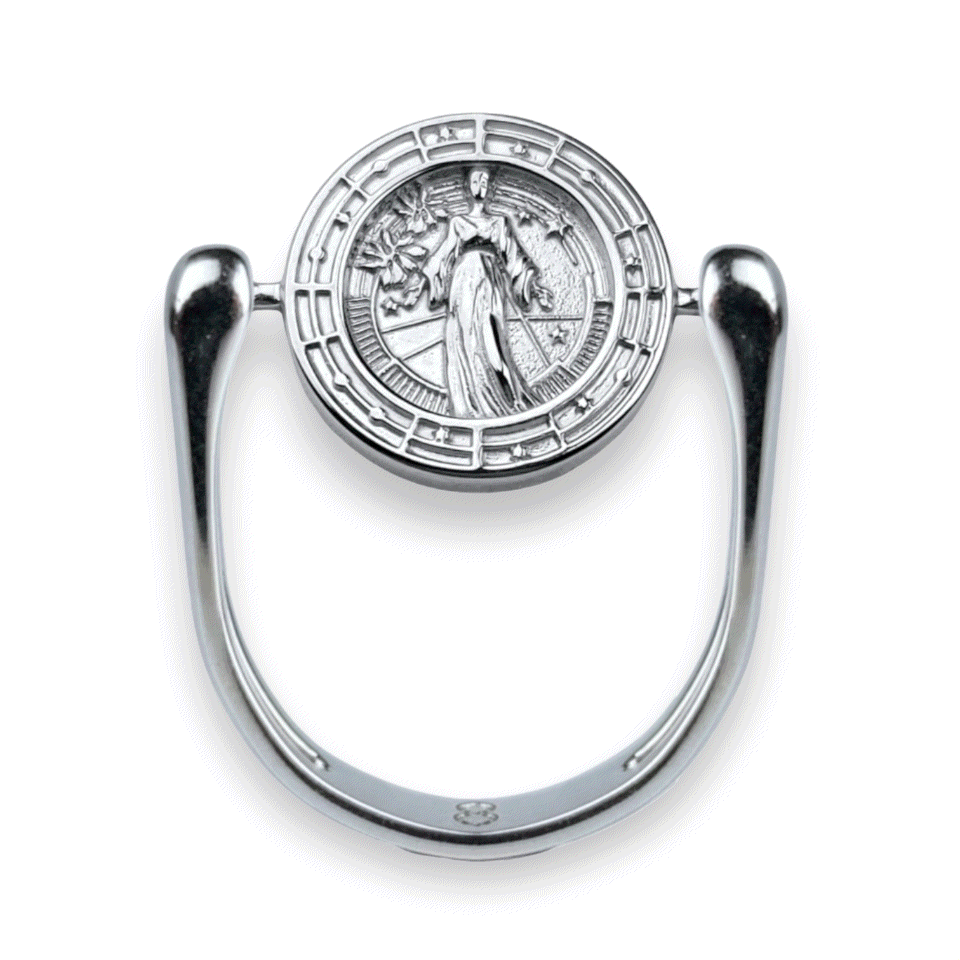 Luxe Silver Zodiac Fidget Ring