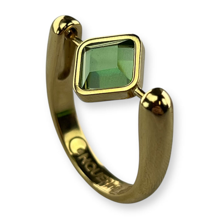 Gold Willow Birthstone CrossBar Fidget Ring