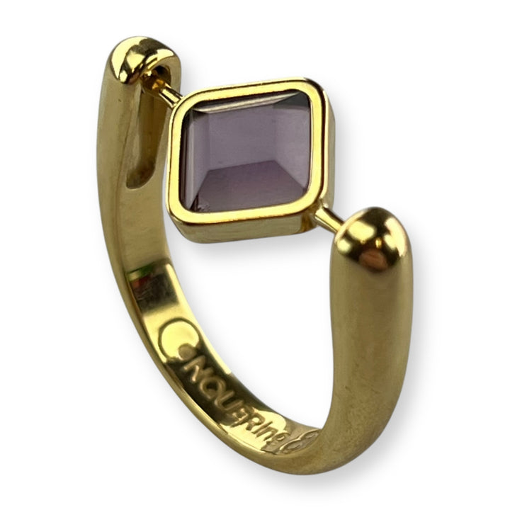 Gold Willow Birthstone CrossBar Fidget Ring