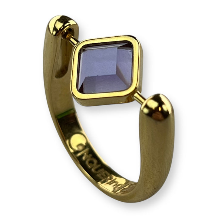 Gold Willow Birthstone CrossBar Fidget Ring
