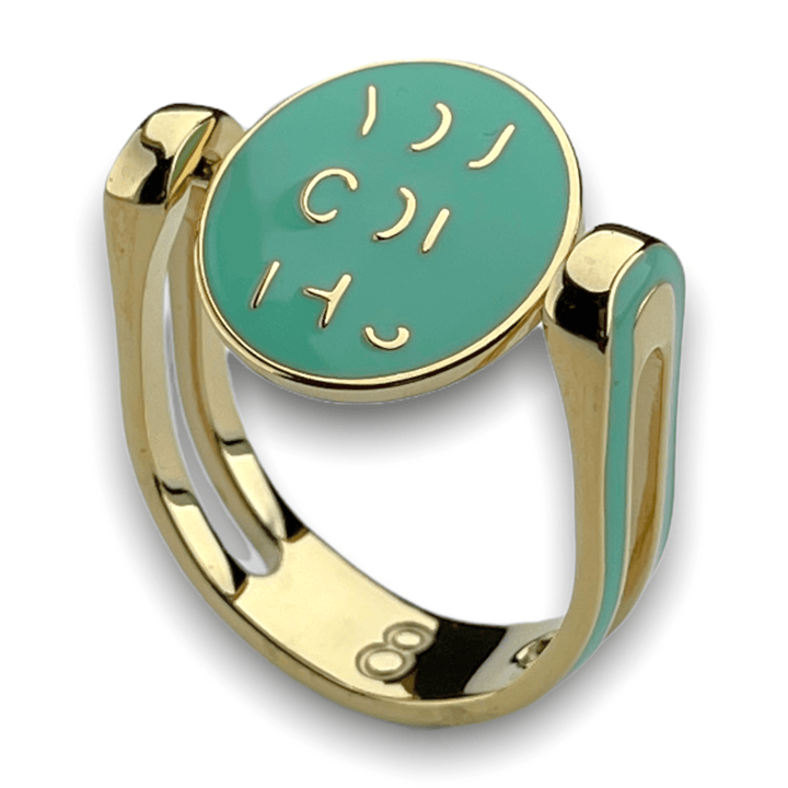 YOU GOT THIS Chroma Fidget Ring (spin to reveal)