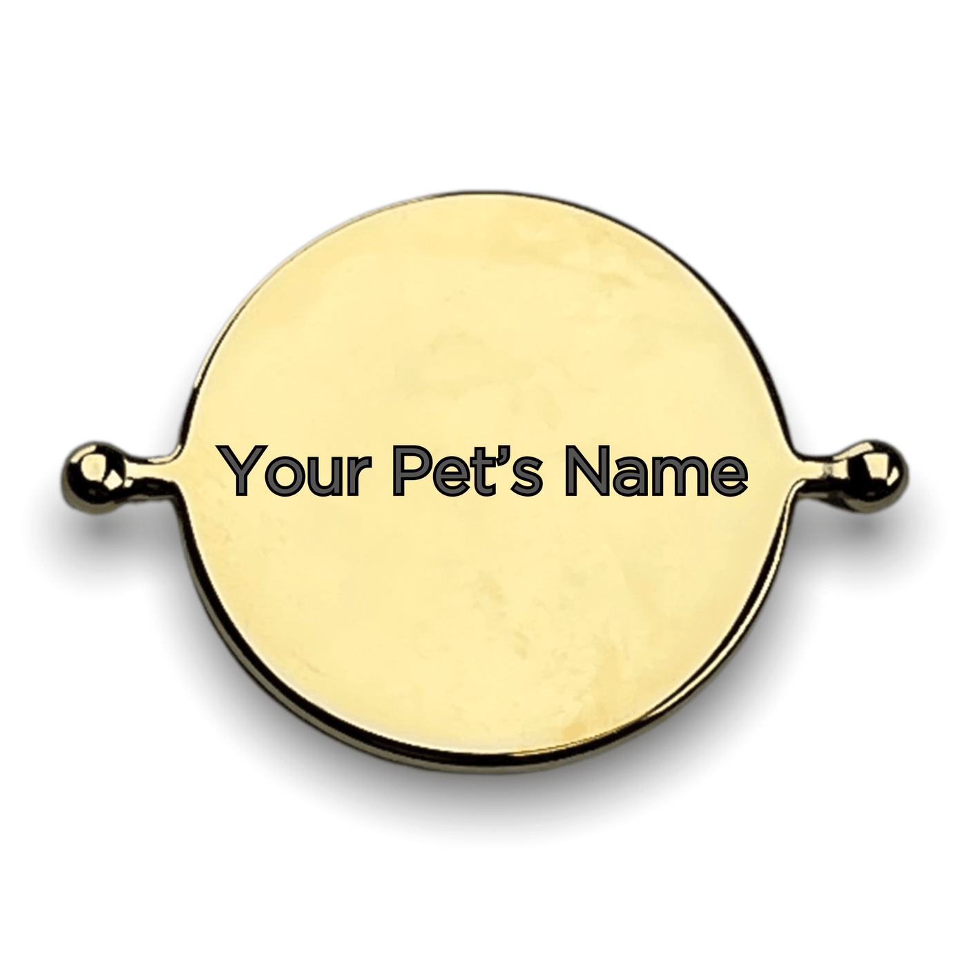 Your Pet's Name Engraved on a Spinner (custom pre-order)