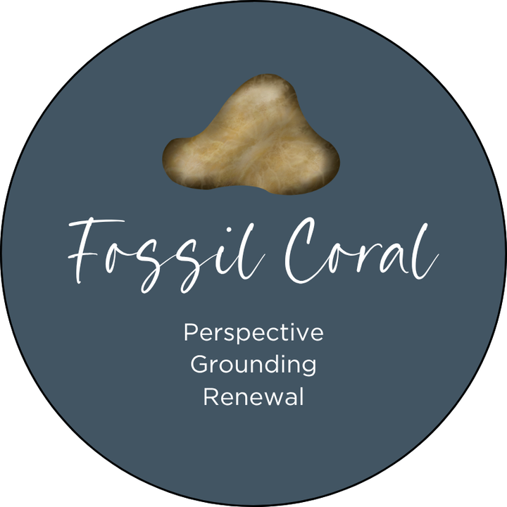 Fossil Coral Cushion Element