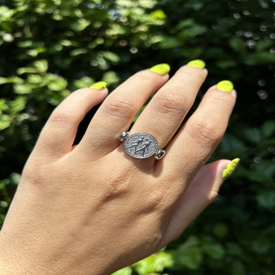 Luxe Silver Zodiac Fidget Ring