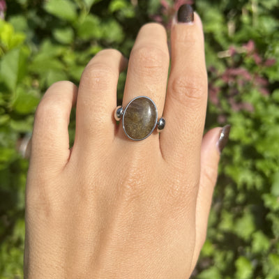 Standard Labradorite Oval Crystal Element