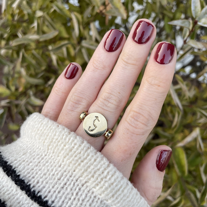 Luxe Zodiac Constellation Element