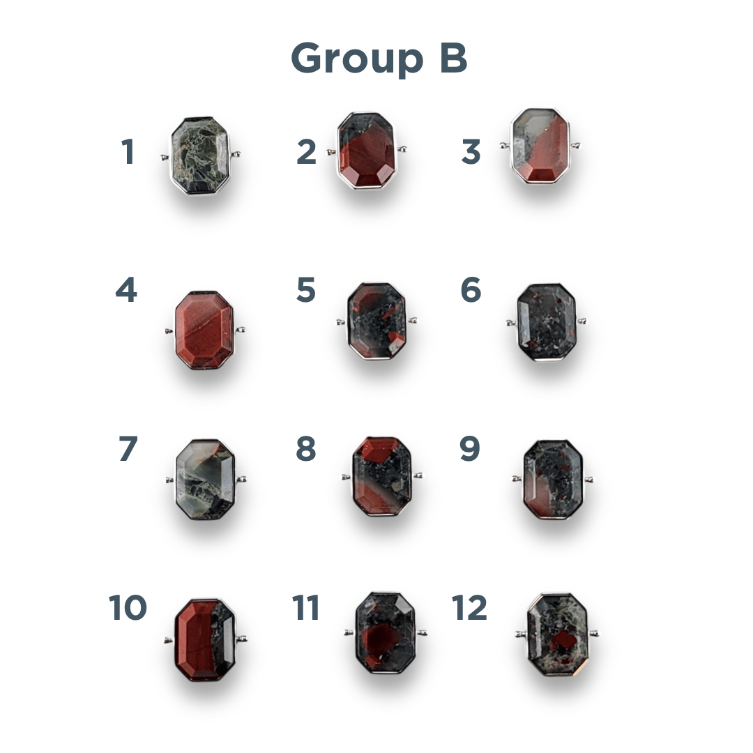 CHOOSE YOUR OWN Silver Bloodstone Octangle Crystal Element – Groups A-E