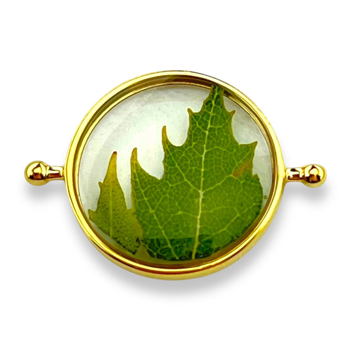 Hidden Grove Vessel Collection – Complementary Shop Collab