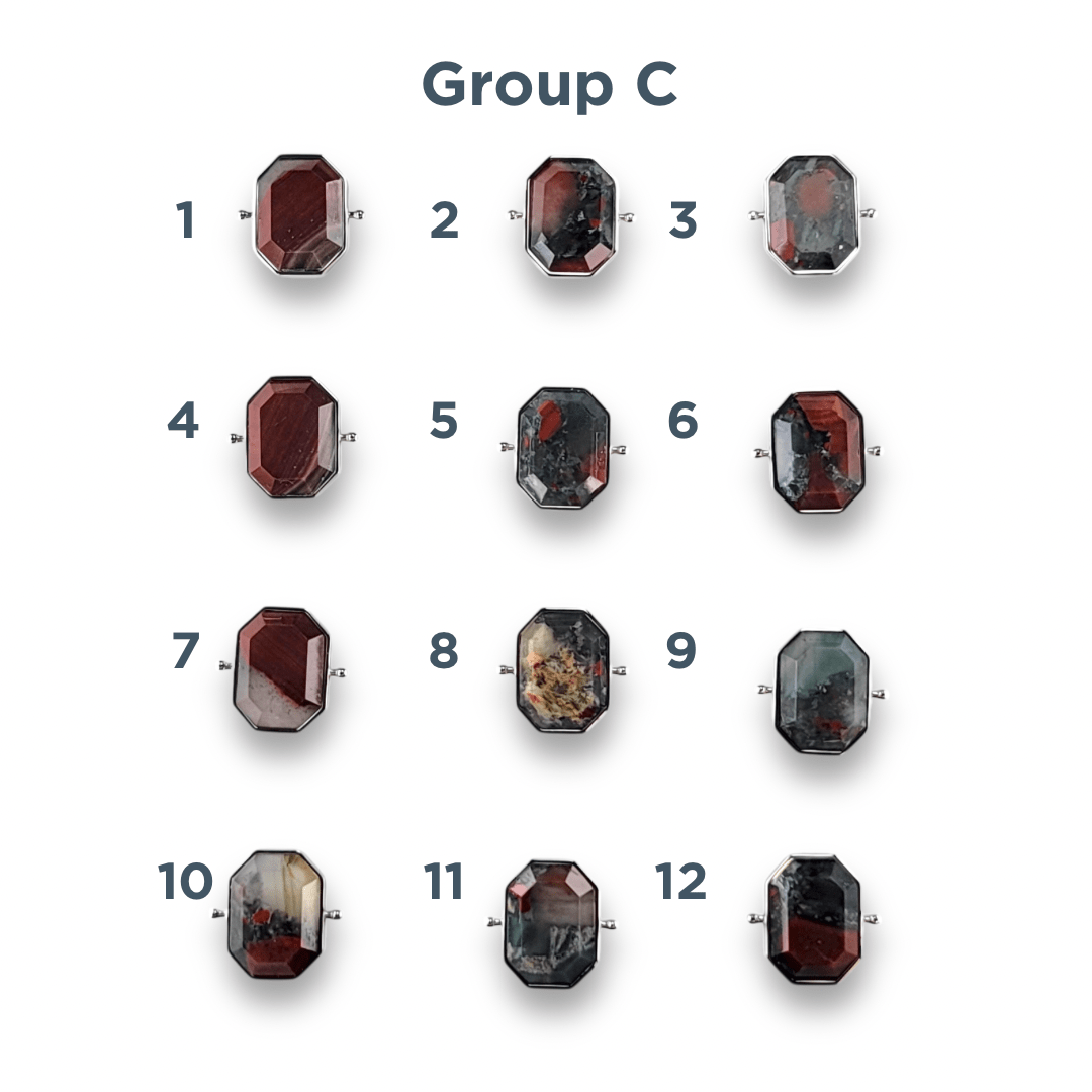 CHOOSE YOUR OWN Silver Bloodstone Octangle Crystal Element – Groups A-E