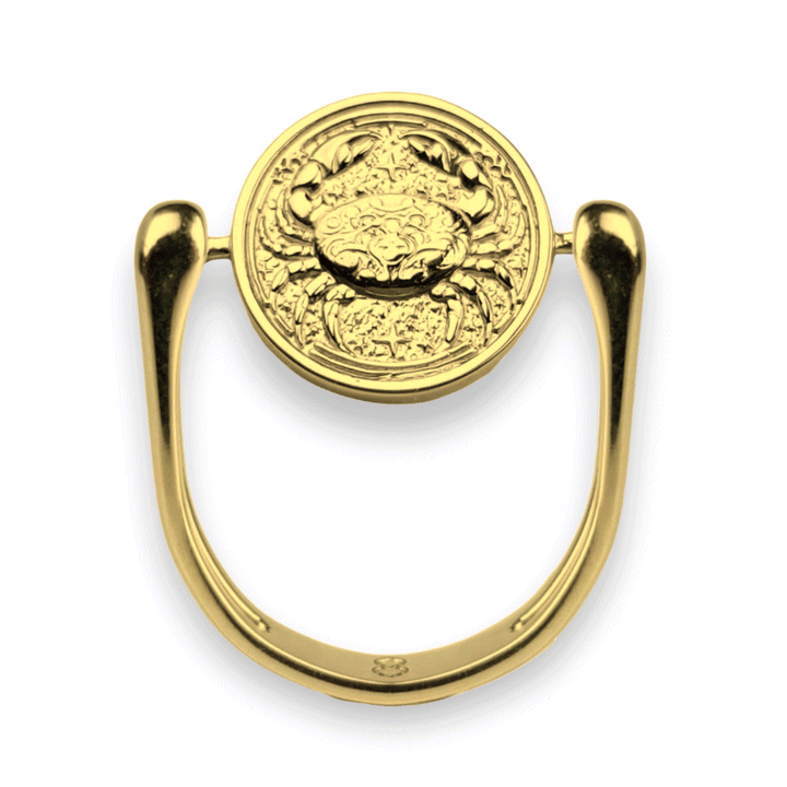 Luxe Gold Zodiac Fidget Ring