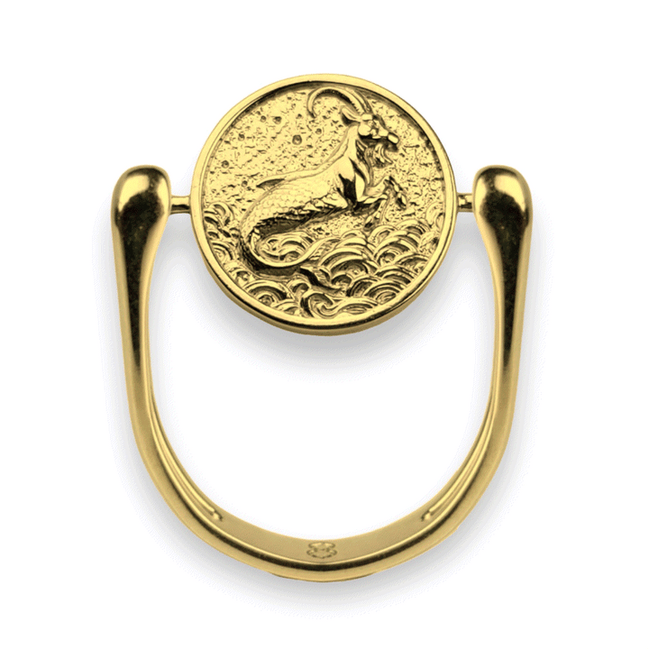 Luxe Gold Zodiac Fidget Ring