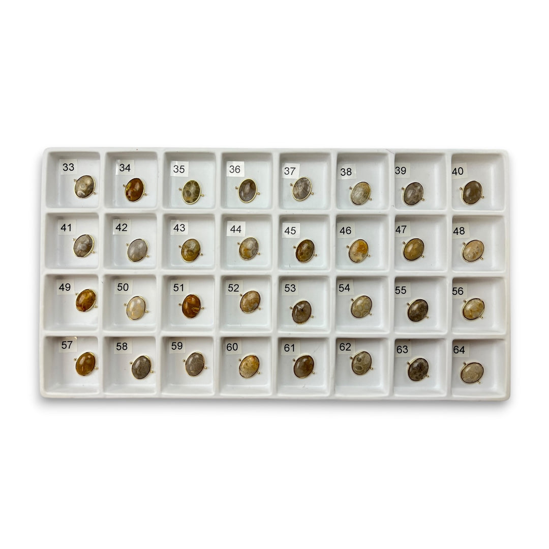 Choose Your Own Fossil Coral Oval – Gold