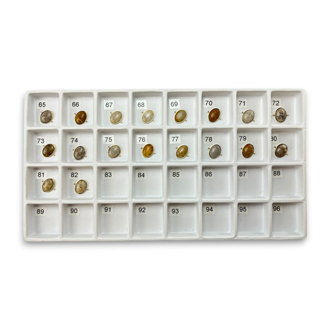 Choose Your Own Fossil Coral Oval – Gold