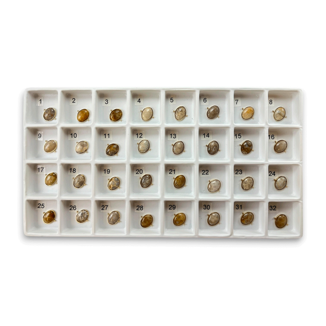 Choose Your Own Fossil Coral Oval – Gold