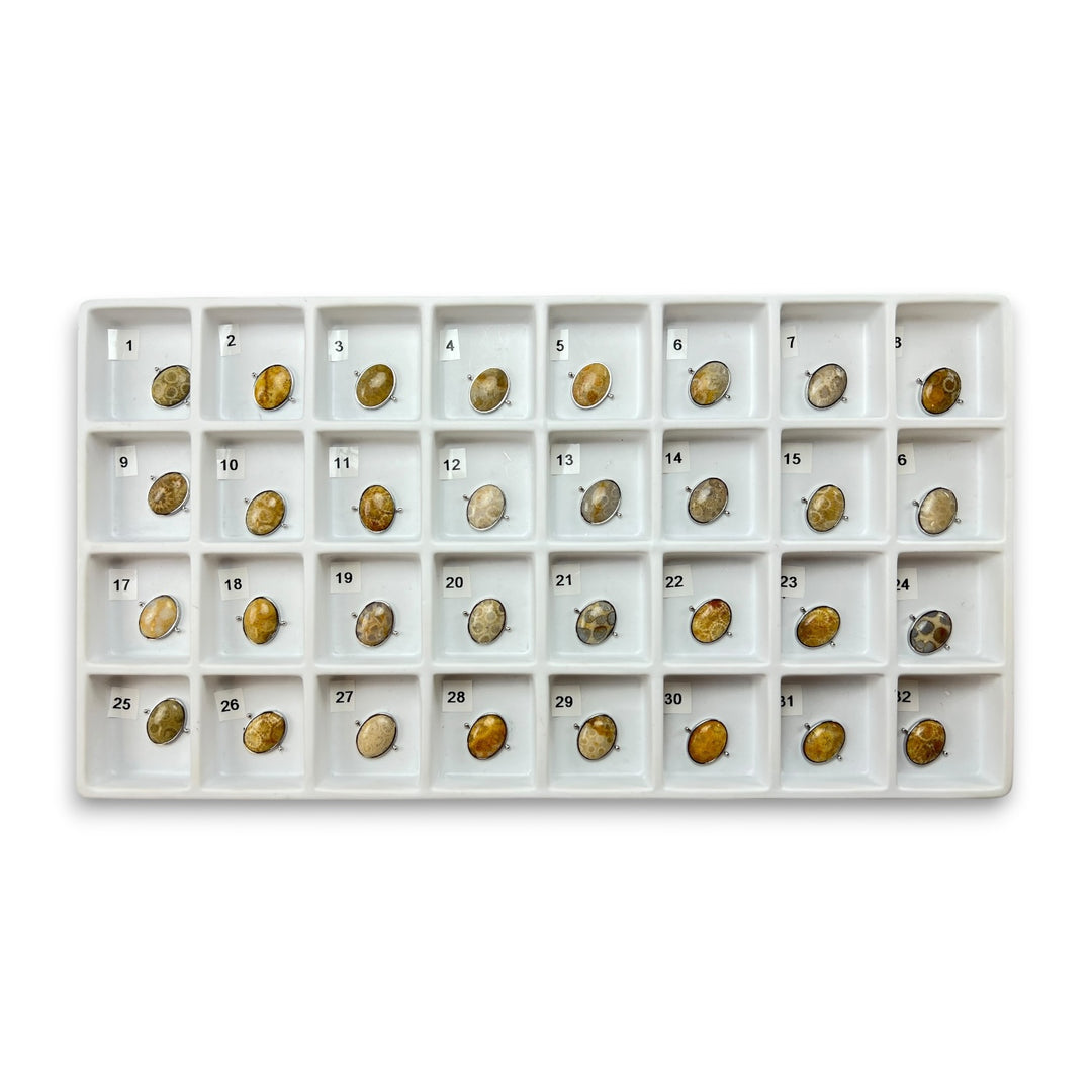 Choose Your Own Fossil Coral Oval – Silver