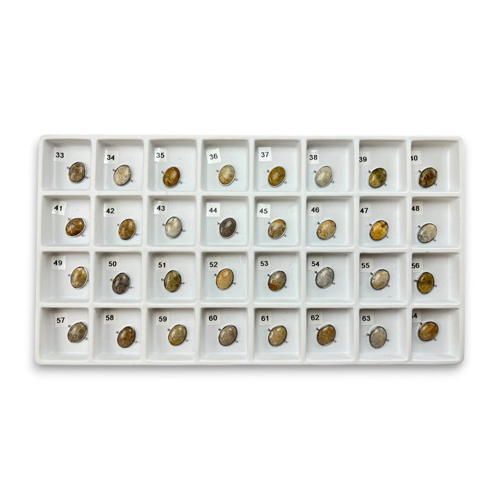 Pre Shop Preview Choose Your Own Fossil Coral Oval – Silver