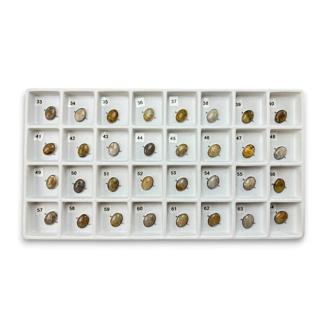 Choose Your Own Fossil Coral Oval – Silver