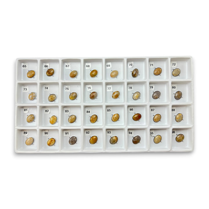 Pre Shop Preview Choose Your Own Fossil Coral Oval – Silver