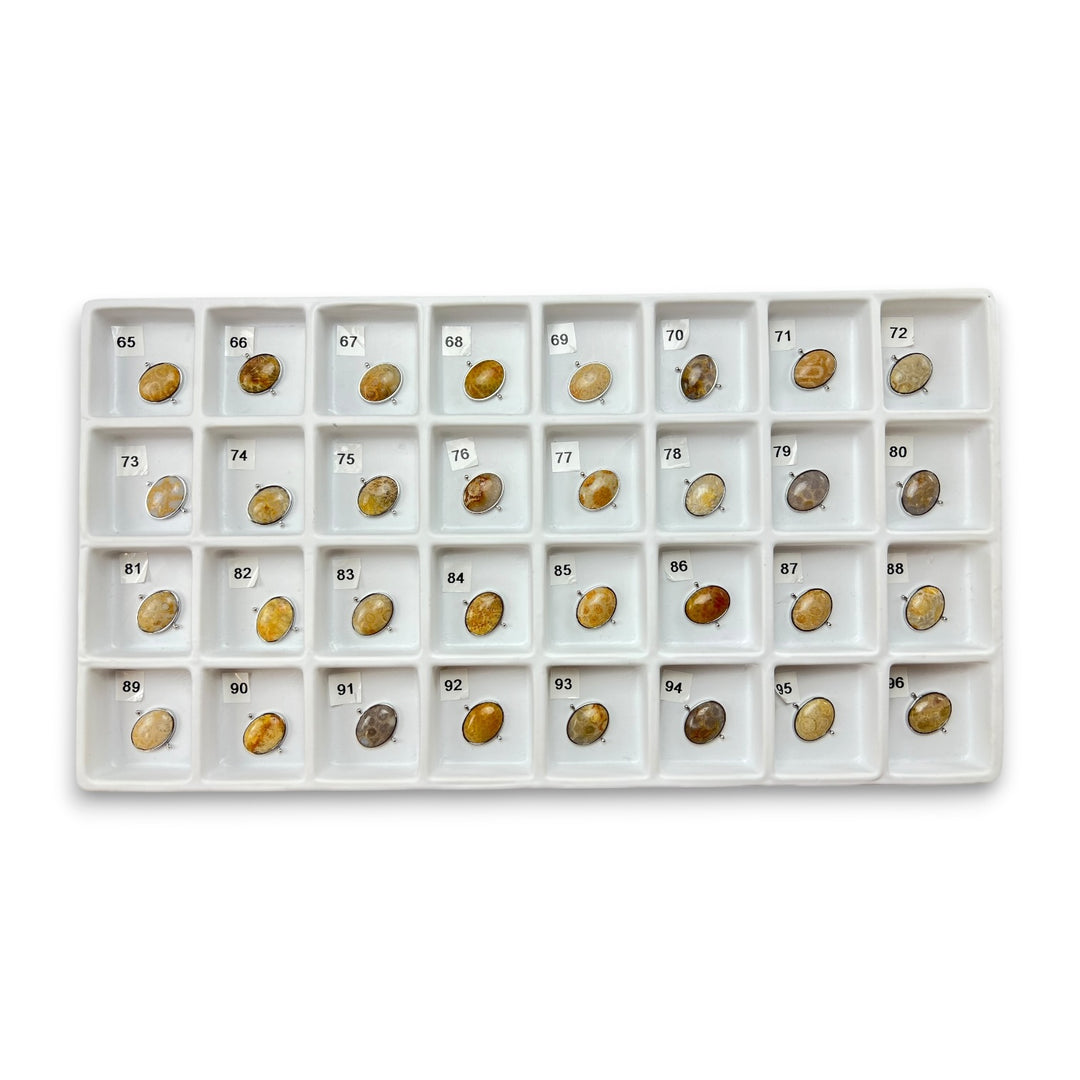 Choose Your Own Fossil Coral Oval – Silver
