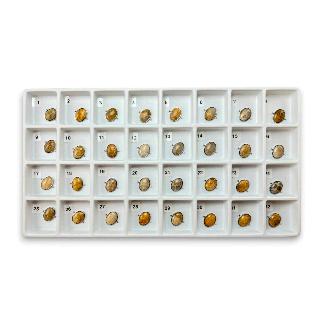 Choose Your Own Fossil Coral Oval – Silver