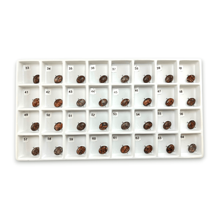 Choose Your Own Mexican Bird's Eye Jasper Oval – Silver