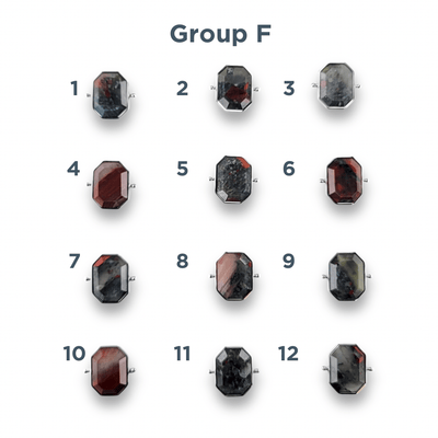 CHOOSE YOUR OWN Silver Bloodstone Octangle Crystal Element – Groups F-J