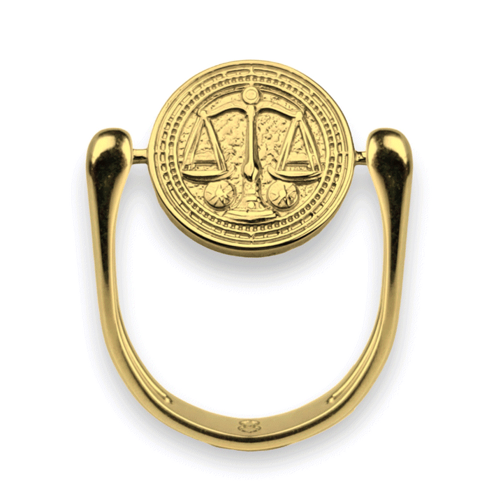 Luxe Gold Zodiac Fidget Ring