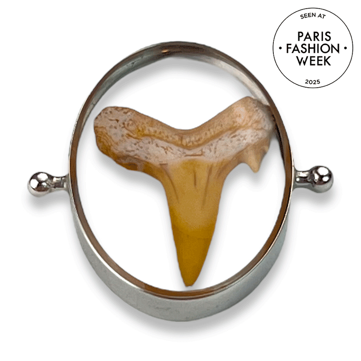 Shark Tooth Encapture™ Element