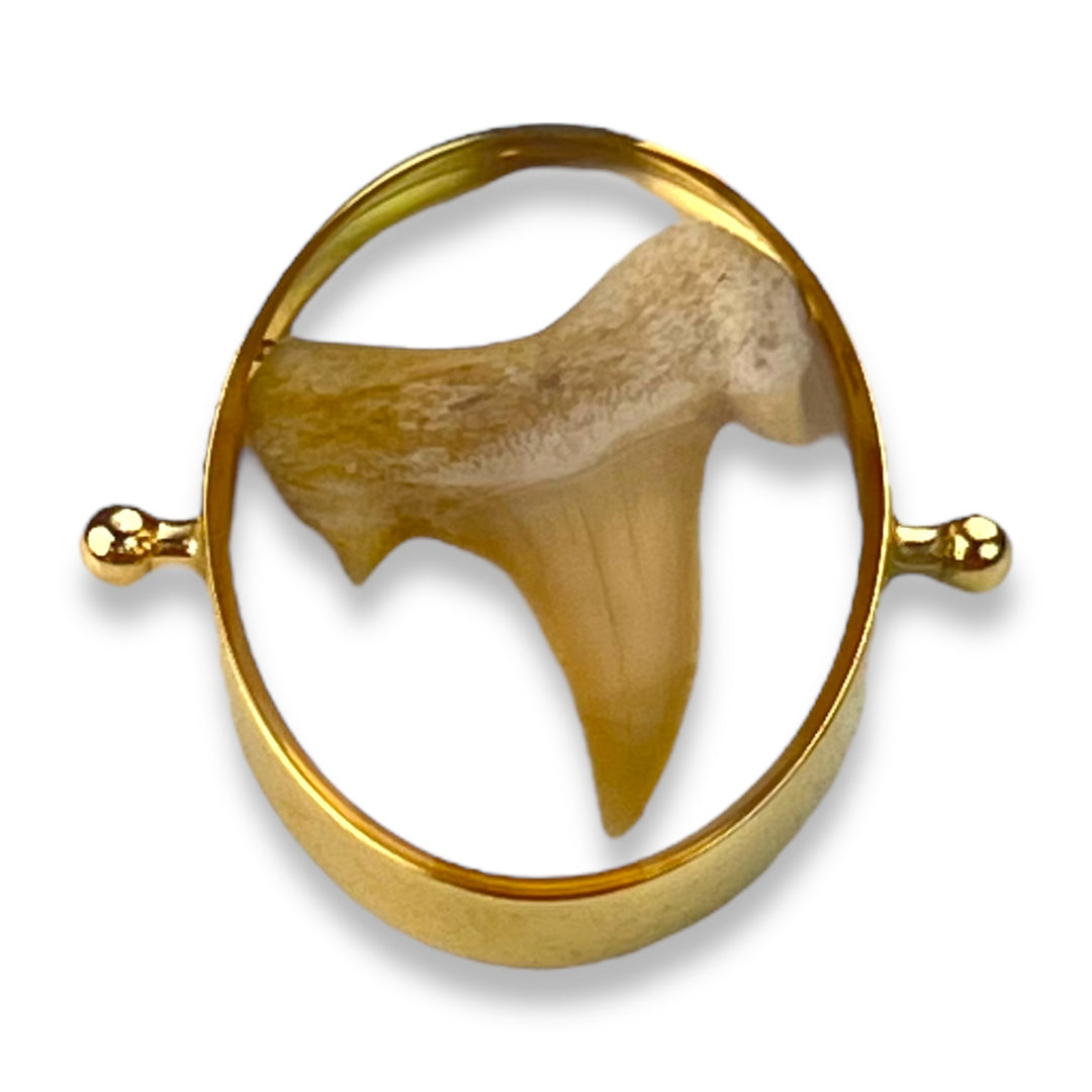 Shark Tooth Encapture™ Element